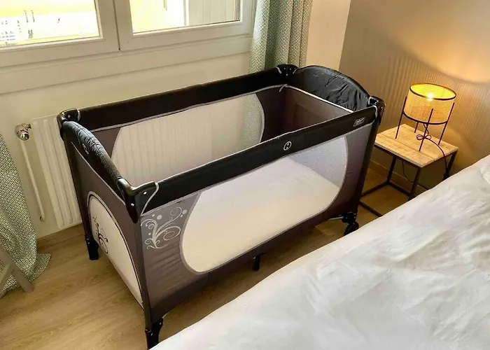 Le Continental Beau T2 Plein Centre + Parking Appartement *
