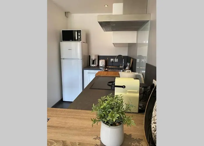 Le Continental Beau T2 Plein Centre + Parking Appartement Annecy