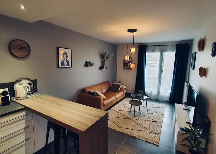 Le Continental Beau T2 Plein Centre + Parking Appartement Annecy