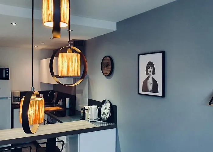 Le Continental Beau T2 Plein Centre + Parking Appartement Annecy