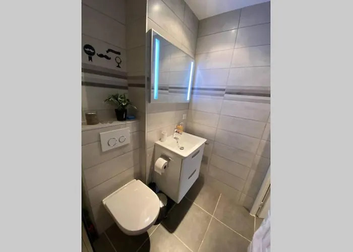 Appartement Le Continental Beau T2 Plein Centre + Parking *